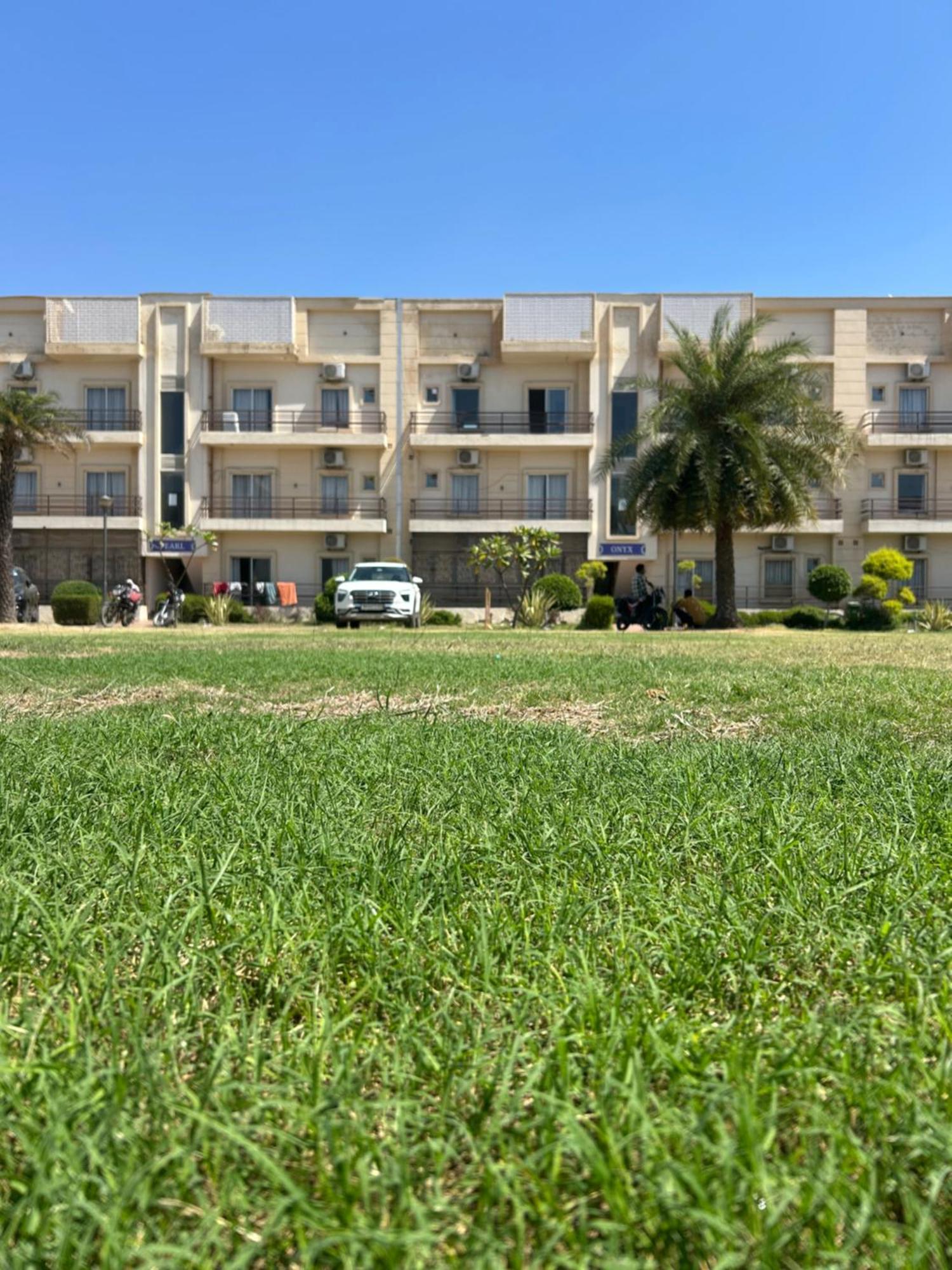 Anandan Citrine