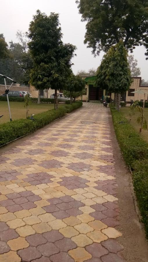 Farm stay Radha Krishna Dham *